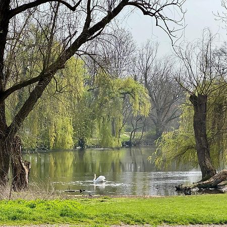 Strasbourg, Appartement Cosy Au Bord De L Eau Estrasburgo Exterior foto